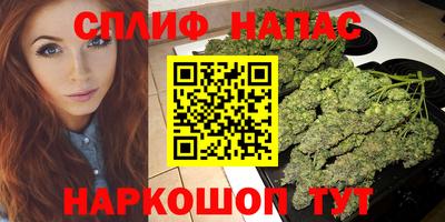 сатива Краснокаменск