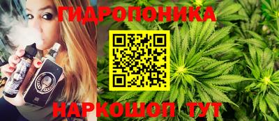 сатива Краснокаменск